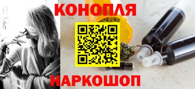 Альфа ПВП Краснознаменск