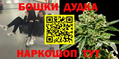 Альфа ПВП Краснознаменск