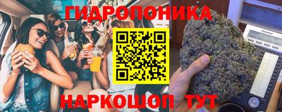 сатива Краснокаменск