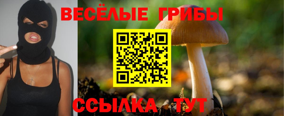 Коммунар  Псилоцибиновые грибы ЛСД  Псилоцибиновые грибы GOLDEN TEACHER  Вход с VPN 